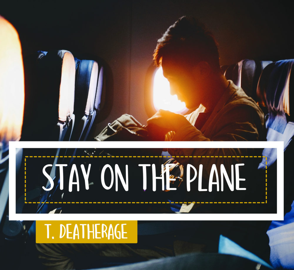 Stay on the Plane Image