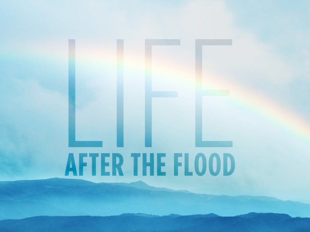 Life After The Flood 